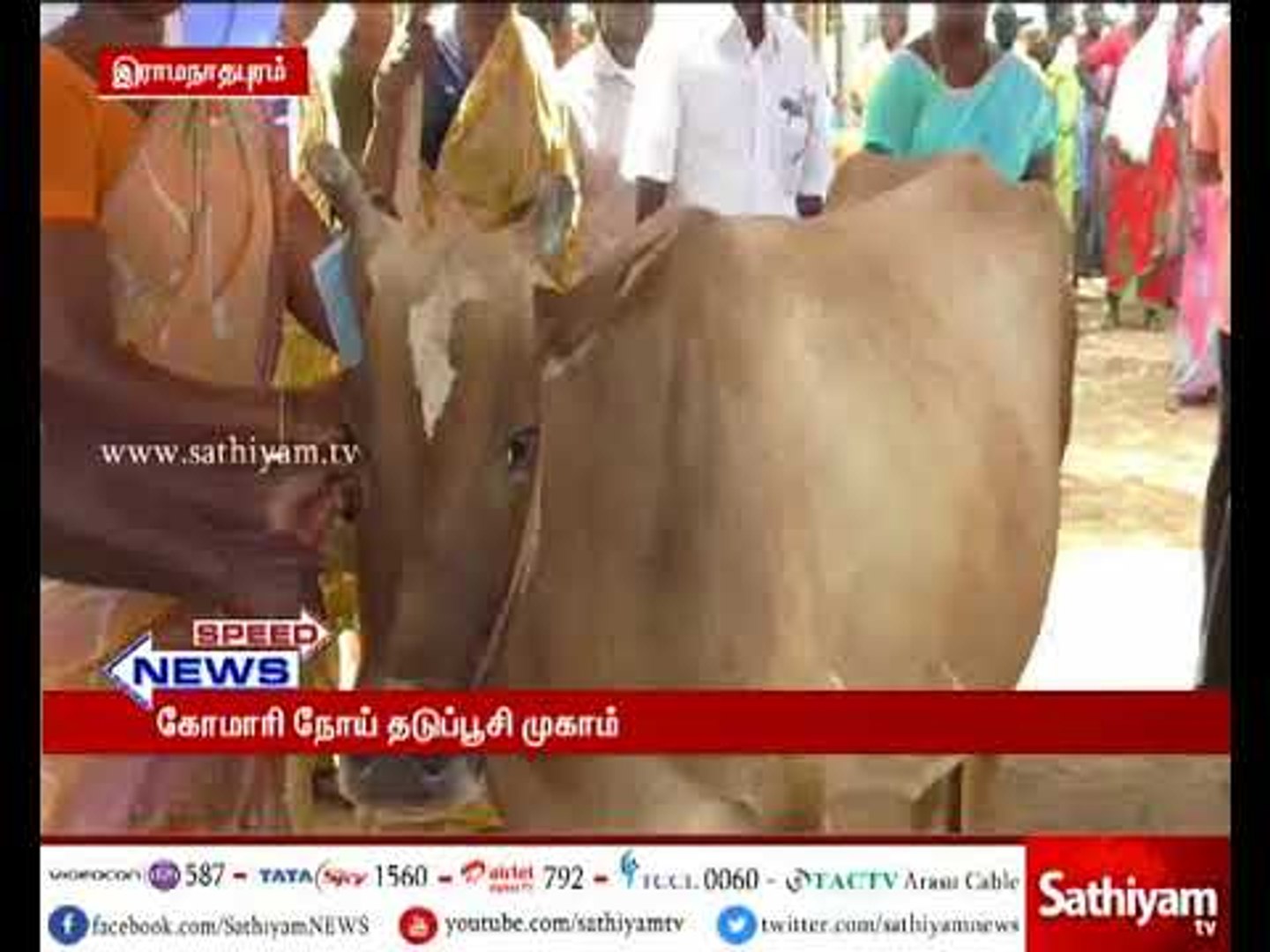 ⁣Camp for Veterinary vaccination conducted at Ramanathapuram