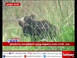 Shocking in Anganwadi Center near Coonoor as bear came to eat  Nutrient flour