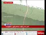 Namakkal: Banyan tree grows underneath bridge, Stability of the bridge affected