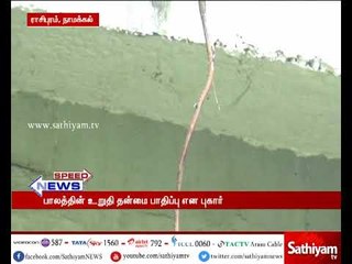 Namakkal: Banyan tree grows underneath bridge, Stability of the bridge affected