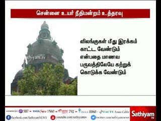 Télécharger la video: விலங்குகளின் மீது இரக்கம் பற்றி பள்ளிகளில் பாடம் சேர்ப்பது குறித்து உயர் நீதிமன்றம் உத்தரவு