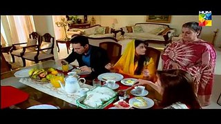 Mere Mehrban Episode 15 Full Episode In High Quality  On HUM TV Drama