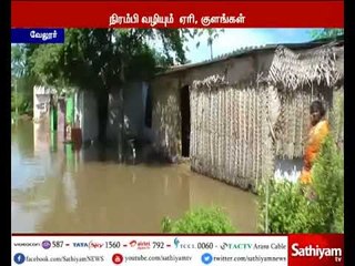 ஆந்திரா எல்லைப்பகுதிகளில் கனமழை - பாலாற்றில் கரைபுரண்டு ஓடும் வெள்ளம்