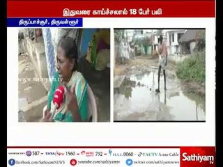 திருவள்ளூர்: ஆட்சியர் அலுவலகம் எதிரே தேங்கியுள்ள மழை நீரால் டெங்கு நோய் பரவும் அபாயம்.