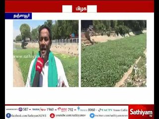 பயிர் கடனை உடனே வழங்க வேண்டும் - விவசாயிகள்