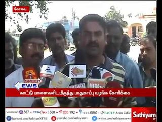 கோவை:  யானைகளிடமிருந்து தங்களுக்கு பாதுகாப்பு வழங்க மக்கள்  சாலை மறியல் போராட்டம்