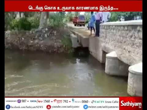 டெங்கு கொசு உருவாக காரணமாக இருக்கும் 2,000 கடைகளுக்கு தமிழக அரசு நோட்டீஸ்
