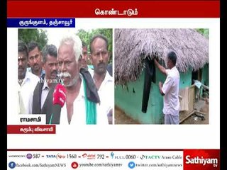 தீபாவளி பண்டிகையை கருப்பு தினமாக அனுசரிப்பதாக தஞ்சை குருங்குளம் கரும்பு விவசாயிகள் வேதனை தெரிவிப்பு