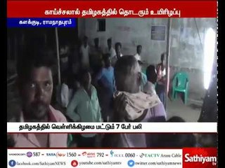 டெங்கு மற்றும் காய்ச்சலுக்கு வெள்ளிக்கிழமை மட்டும் ஏழு பேர் உயிரிழப்பு