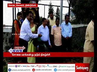 கொடைக்கானலில் தனியார் தொண்டு நிறுவனம் சார்பில் சோலை மரக்கன்றுகள் நடப்பட்டது