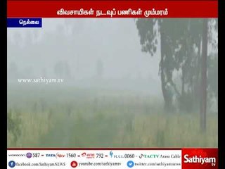 நெல்லையில் மழை பெய்து வரும் நிலையில் விவசாயிகள் நடவு பணிகளில் தீவிரம்