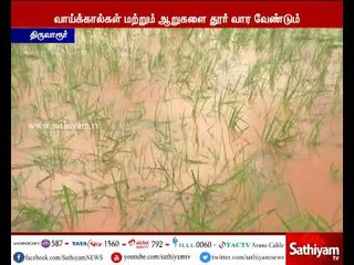 தொடர் கனமழை காரணமாக நெற்பயிர்கள் நீரில் மூழ்கி சேதமடையும் நிலை