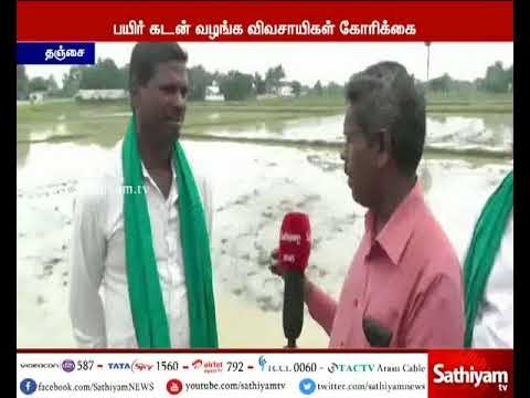 தஞ்சை விவசாயிகள் சம்பா சாகுபடியை செய்ய பயிர் கடன் வழங்கவேண்டும் விவசாயிகள் கோரிக்கை