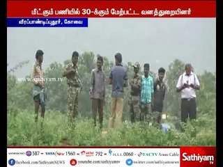 சேற்றில் சிக்கி தவித்த 10 வயது ஆண் குட்டி யானை வனத்துறையினர் மீட்டனர்