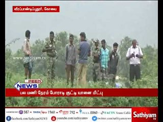 கோவை: சேற்றில் சிக்கி தவித்த ஆண் யானை குட்டியை வனத்துறையினர் மீட்டனர்.