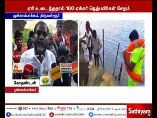 திருவள்ளூர் மாவட்டம் முக்கரம்பாக்கம் ஏரி உடைந்ததால் நெற்பயிர்கள் சேதம்