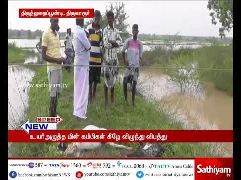 திருத்துறைப்பூண்டி: உயர் அழுத்த மின் கம்பிகள் கீழே விழுந்த விபத்தில் இரண்டு ஆடுகள் உயிரிழ ப்பு