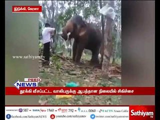 பாகுபலி திரைப்பட பாணியில் யானையின் மீது ஏற முயன்ற வாலிபரை யானை தூக்கி வீசிய காட்சி