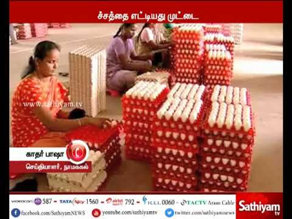 நாமக்கல் - முட்டை விலை கிடு கிடு கிடு உயர்வு