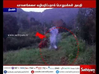 மஞ்சூர்-கோவை நெடுஞ்சாலை அருகே அட்டகாசத்தில் ஈடுபட்டு வரும் காட்டு யானைகள்