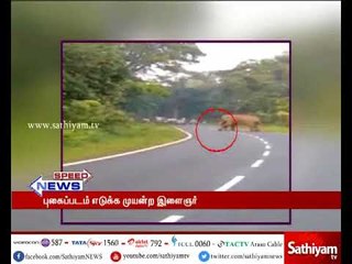 புகைப்படம் எடுக்க முயன்றவரை சரமாரியாக மிதித்து கொன்ற யானை