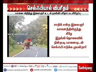 யானை தூக்கிப்போட்டு பந்தாடியதில்  இளைஞர் சம்பவ இடத்திலேயே பலி