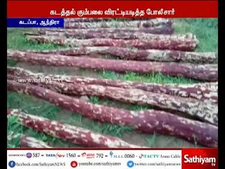 கடப்பா: 2 கோடி ரூபாய் மதிப்புள்ள செம்மர கட்டைகளை ஆந்திரா போலீசார் பறிமுதல்