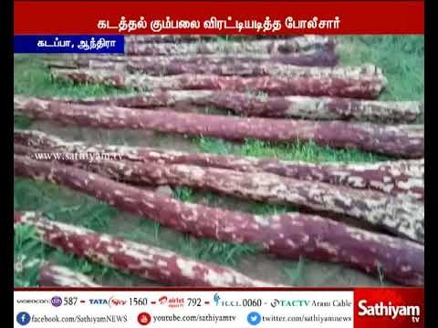 கடப்பா: 2 கோடி ரூபாய் மதிப்புள்ள செம்மர கட்டைகளை ஆந்திரா போலீசார் பறிமுதல்
