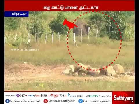 கர்நாடக மாநிலத்தில் ஒற்றை காட்டு யானை தாக்கயதில் இளைஞர் ஒருவர் படுகாயம்