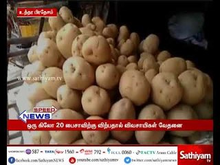 உருளைக் கிழங்கிற்கான மொத்த விற்பனை விலை கிலோ 20 பைசாவாக உள்ளதால் விவசாயிகள் சோகம்