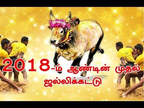 2018-ம் ஆண்டின் முதல் ஜல்லிக்கட்டு போட்டி - சுகாதாரத்துறை அமைச்சர் தொடங்கி வைத்தார்