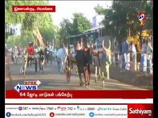 ரேக்ளா காளைகள் வளர்ப்போர் சங்கம் சார்பில் மாட்டு வண்டி பந்தயம்