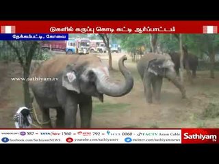 மேட்டுபாளையத்தில் இன்று முதல் 48 நாட்களுக்கு யானைகள் புத்துணர்வு முகாம்