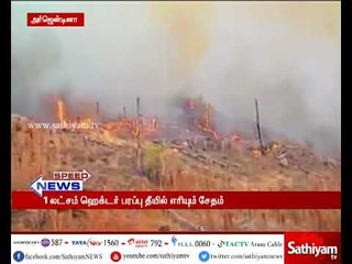 அர்ஜென்டினாவில் 3 நாட்களாக பற்றி எரியும் காட்டுத் தீ