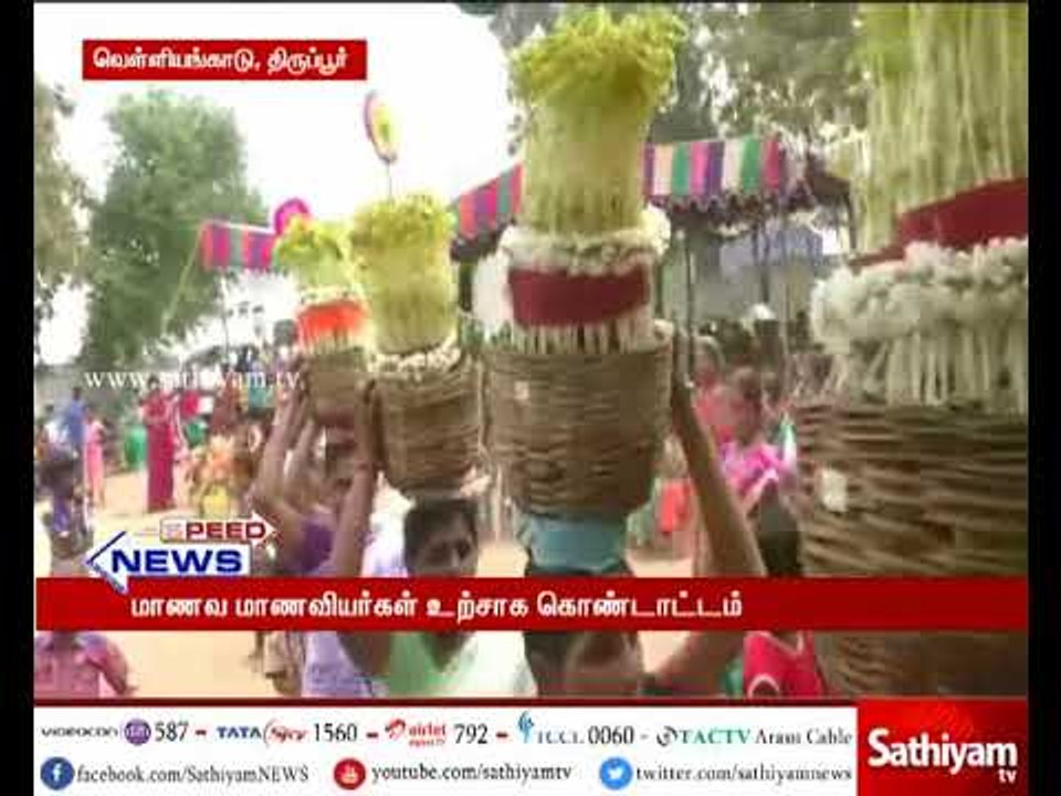 தாய் தமிழ் பள்ளியில் பாரம்பரிய முறைப்படி பொங்கல் பண்டிகை கொண்டாட்டம்