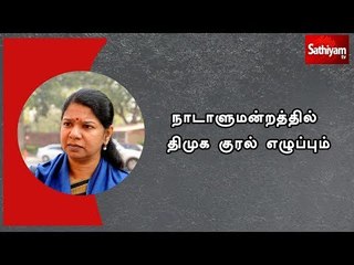 தமிழகத்தில் உள்ள அனைத்து பிரச்சனைகள் குறித்து நாடாளுமன்றத்தில் திமுக குரல் எழுப்பும் -  கனிமொழி