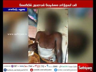 பாலமேடு ஜல்லிக்கட்டில் காளை முட்டி பார்வையாளர் ஒருவர் உயிரிழப்பு