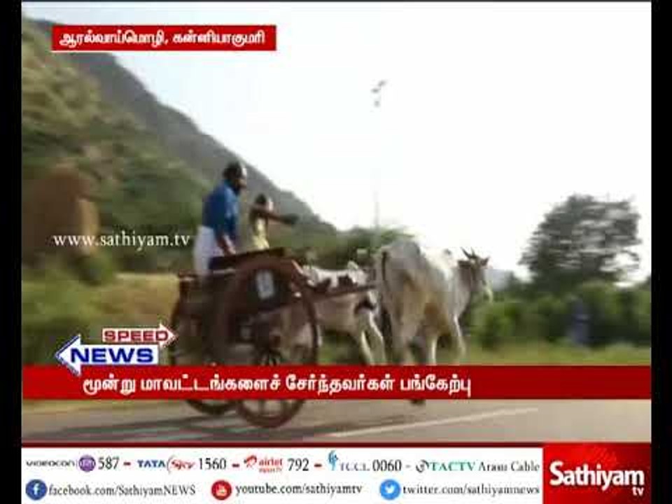 பொங்கல் திருநாளினை முன்னிட்டு மாட்டு வண்டி போட்டி நடைபெற்றது