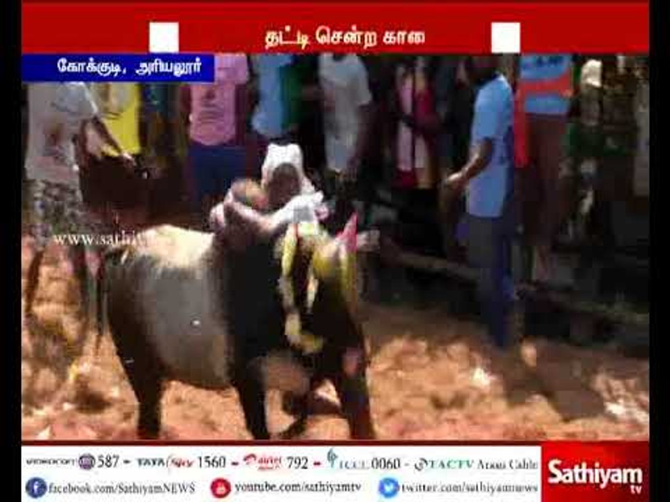 அரியலூர்  ஜல்லிக்கட்டு போட்டியில், சீறிப்பாய்ந்த காளைகளை அடக்கிய வீரர்கள் பரிசுகளை தட்டி சென்றனர்.