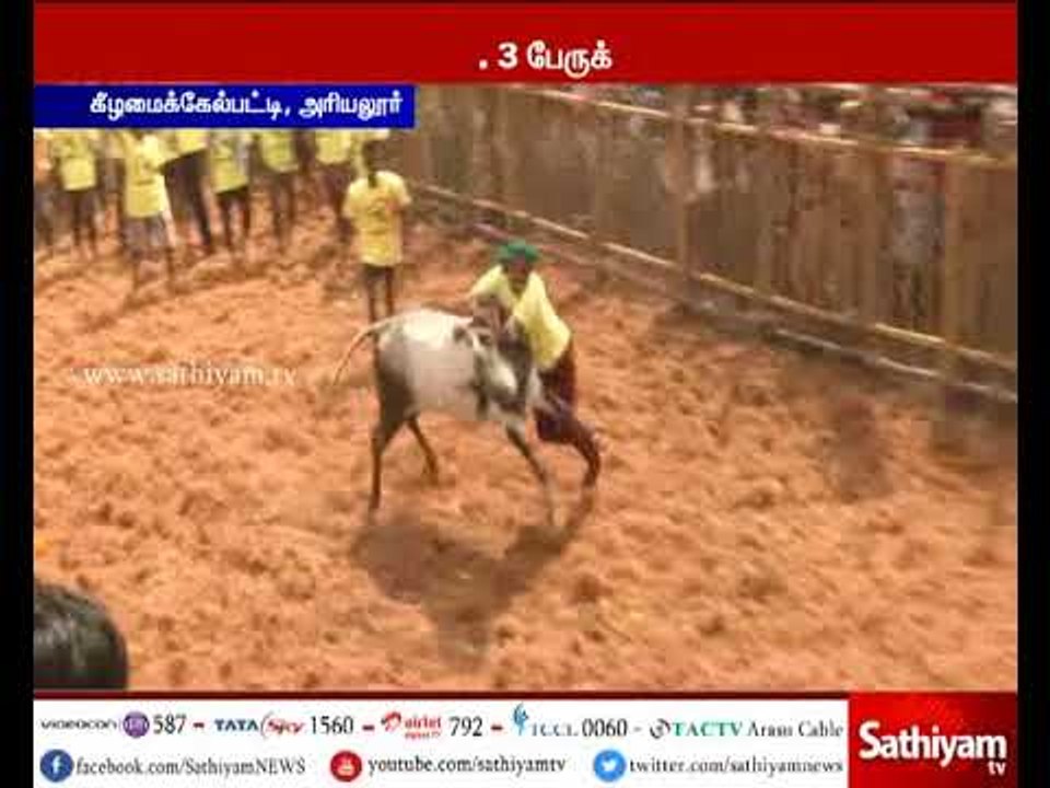 ஜல்லிக்கட்டு போட்டியில் சீறி பாய்ந்த காளைகளை அடக்க முயன்ற 35 வீரர்கள் காயம்