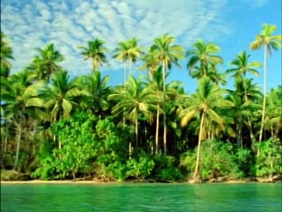 adventures of swiss robinson family ( 1998 ) E 22