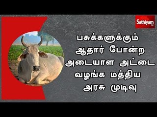 பசுக்களுக்கும் ஆதார் போன்ற அடையாள அட்டை வழங்க மத்திய அரசு முடிவு