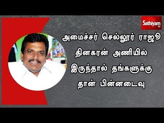 அமைச்சர் செல்லூர் ராஜூ தினகரன் அணியில் இருந்தால் தங்களுக்கு தான் பின்னடைவு - தங்க தமிழ்ச்செல்வன்