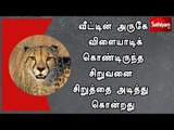 வீட்டின் அருகே விளையாடிக் கொண்டிருந்த சிறுவனை சிறுத்தை அடித்து கொன்றது