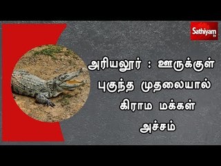 அரியலூர் : ஊருக்குள் புகுந்த முதலையால் கிராம மக்கள் அச்சம்