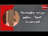 கேரளத்தில் வாழும் அதிசய ”தேனி” பெண்மணி