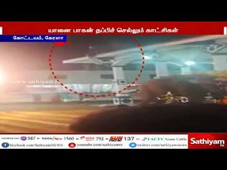 கேரளாவில் திருவிழாவில் வலம் வந்த யானைக்கு திடீரென மதம் பிடித்ததால் பதற்றம்