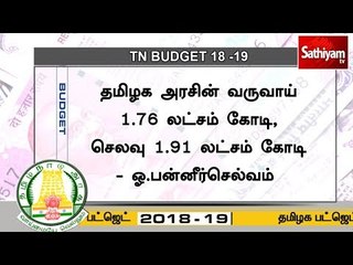 தமிழக அரசின் வருவாய் 1.76 லட்சம் கோடி, செலவு 1.91 லட்சம் கோடி - ஓ.பன்னீர்செல்வம்