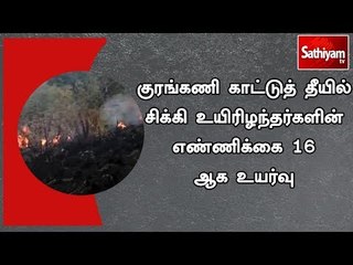 குரங்கணி காட்டுத் தீயில் சிக்கி உயிரிழந்தர்களின் எண்ணிக்கை 16 ஆக உயர்வு