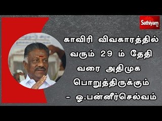 காவிரி விவகாரத்தில் வரும் 29 ம் தேதி வரை அதிமுக பொறுத்திருக்கும் - ஓ.பன்னீர்செல்வம்